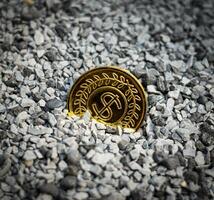 One gold coin USD buried in the grained stone photo