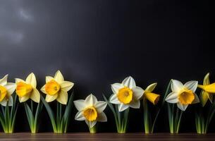 ai generado fila de amarillo narcisos en un oscuro fondo, bandera, espacio para texto foto