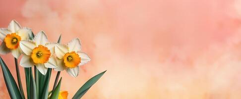 AI Generated Bouquet of narcissus on a Peach Fuzz background, with free space for text photo