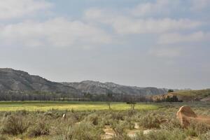 hermosa campo rodeado por montañas debajo grueso nubes foto