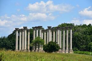 Beautiful Stone Columns from the Old Capitol photo