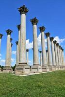 Columns and Pillars Relocated to the Botanical Garden photo