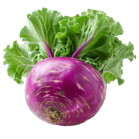 AI generated radish isolated on transparent background ,radish vegetables png ,generative ai