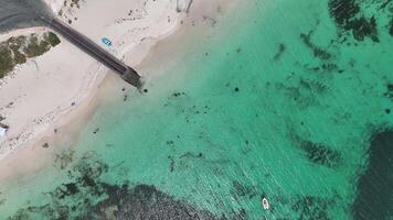 antenn antal fot sting strålar snorkling och båt på hamelin bukt Australien 4k video