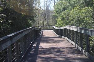 Landscape Around The Marcus Bayou Birding Trail In Pensacola Florida. photo