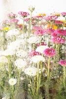 Bright and colorful bouquet seen through the glass with waterdrops. photo