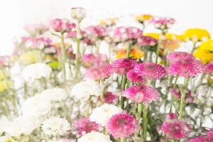 Colourful flower arrangement. Blossoms springtime background. photo