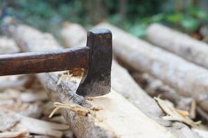 Old axe cut wood. concept, Carpentry tool or equipment for construction. Use axe to cut trees. Deforestation. photo