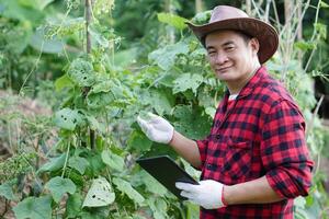 Handsome Asian man gardener wears hat, red plaid shirt, holds smart tablet, stands at garden. Concept, smart farmer search informations to develop agriculture crops. Check and search from internet. photo