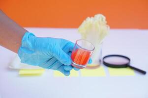 mano vestir azul guante de vaso de rojo color agua a hacer Ciencias experimento. concepto, Ciencias lección actividad. fácil experimentar para aprendiendo. enseñando educación materiales aprendizaje diseño. foto