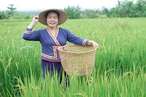 Beautiful Asian woman farmer is at paddy field, holds basket, visit and take care rice plants after growing and waiting to harvest. Concept, Agricultural lifestyle. Organic farming. Thai farmer. photo