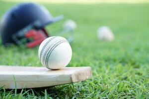 White cricket ball on wooden bat. Concept, sport equipment. Well known competitive sport. Cricket is a bat-and-ball game played between two teams of eleven players on a field. photo