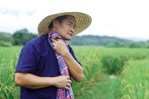 asiático hombre granjero es a arrozal campo, siente cansado y caliente, utilizar tailandés taparrabo a limpiar su rostro. concepto, agricultura ocupación, granjero trabajo difícil en contra pobreza. estilo de vida de agricultor. foto