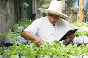 Asian man gardener is checking and inspecting quality, growth and plant diseases of organic salad vegetables by using smart tablet. Concept, Agriculture research. Learn from internet to develop crops. photo