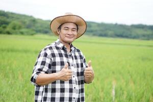 hermoso asiático hombre granjero es a arrozal campo, usa sombrero y tartán camisa, dos manos pulgares arriba. contento y seguro. concepto, agricultura ocupación. foto