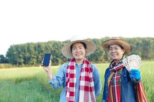 Happy Asian women farmers are at paddy field. They hold smart phone and Thai banknotes money. Concept, Agriculture occupation. Thai farmers. Profit, income. Online apps for promote products photo