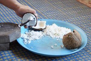 Hands holding a half-cut coconut to scrape for making coconut milk by using coconut grater. Concept Thai cooking style. Food ingredient in traditional food and dessert. photo