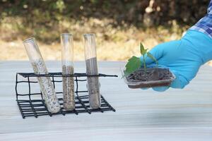 Test tubes that contain sample soil. Concept, soil quality inspection, research and science experiment. Laboratory. Find the best from different soil type and source for growing agriculture crops photo