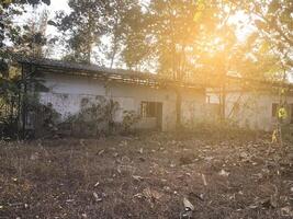 abandoned house in the jungle photo