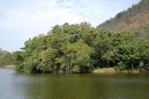 beautiful river at the park photo