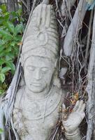 statue of angel with a tree photo