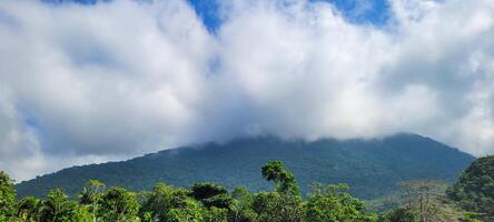 forest shrouded in fog on a mountain in ubatuba, north coast of brazil photo