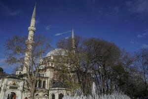 Oye arriba sultán Cami mezquita, Estanbul, Turquía foto