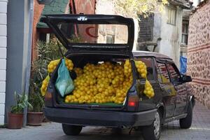 lemons door to door selling with car in Anadolu Kavagi village Istanbul Bosphorus cruise photo