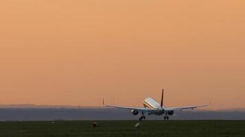 filmisch Aufnahmen von ein Jet Flugzeug nehmen aus beim Sonnenuntergang, Dämmerung im Hintergrundbeleuchtung. Tourismus und Reise Konzept, modern Luftfahrt video