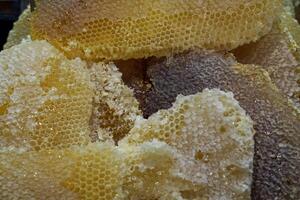 Natural comb honey, Turkish Karakovan Honey. Honey Concept. photo