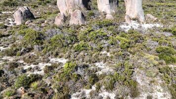 schön Weiß Sand Strand türkis Meer Glücklich Bucht Australien Antenne 4k video