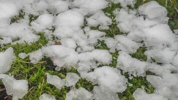 Macro time-lapse shot of shiny particles of melting snow and open green grass and leaf. Change of season from winter to spring in the forest. video