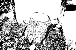 Rustic grunge texture with grain and stains. Abstract noise background. PNG graphic illustration with transparent background.