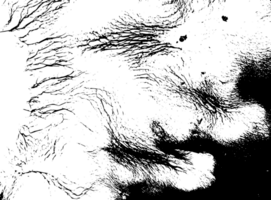 Rustic grunge texture with grain and stains. Abstract noise background. PNG graphic illustration with transparent background.
