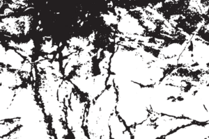 Rustic cracked texture with many cracks and scratches. Abstract background. PNG graphic illustration with transparent background.