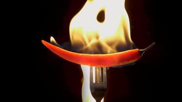 Hot red chili pepper on a fork in flames on a black background. Spicy food concept. Slow motion video