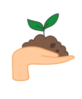 Hand holds tree or plant png