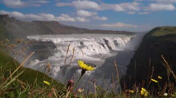 gullfoss cascata su estate soleggiato giorno. Islanda. 4k video