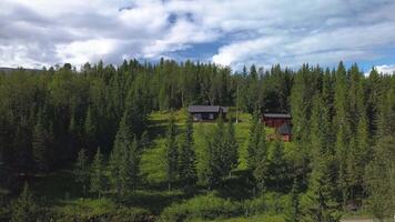 fliegend Über ein Wald und See im das Berge von Norwegen. 4k video