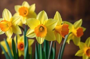 ai generado S t. David día, internacional De las mujeres día, madres día, primavera flores, ramo de flores de amarillo narcisos, marrón antecedentes foto