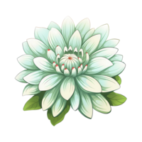 AI generated flower art illustrations for stickers, tshirt design, poster etc png