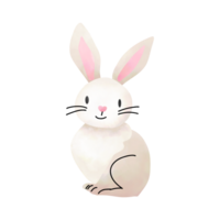 mignonne lapin aquarelle png