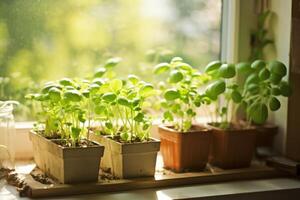 AI generated young plants, seedlings on the window, planting, green seedlings in pots, sunny day photo