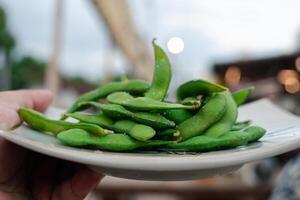 Organic boiled green Edamame beans with sea salt photo