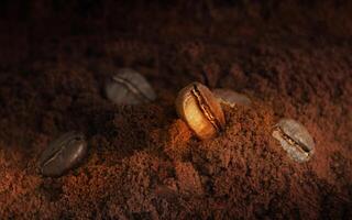 Coffee beans and ground coffee, macro photo in warm colors