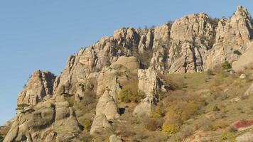 Aerial for mountain ridge with trees in the sunny morning with clear blue sky. Shot. Amazing cliffs with withered grass and green trees on blue sky background. video