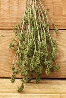 Dry thyme pile on wooden background photo