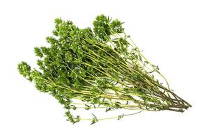 bunch of thyme twigs isolated on white background photo