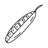 Green peas, pod in black and white doodle style. Pea vector illustration of legume, field plant, basic food rich in protein, black line, isolated.