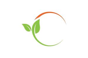 Leaf Logo Design Template vector